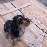 Голям Детски Пясъчник с Пейки и Сгъваем Капак GINGER HOME 157x157x21см, Дървен - Image 11