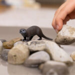 Фигурка Видра, Schleich - Image 2