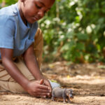 Фигурка Хипопотам, Schleich - Image 2