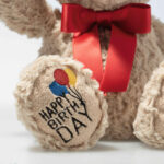 Jimmy Teddy bear – Happy Birthday - Image 2