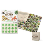 Мемори карти с кутия Rappa