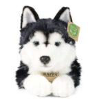 Плюшено куче Хъски Rappa - Image 2