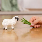 Фигурка Черноноса овца, Schleich - Image 2