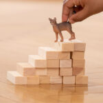 Фигурка Коте Абисинска, Schleich - Image 2