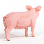 Фигурка Прасе майка, Schleich - Image 4