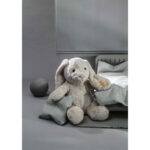 Hoppie rabbit - Image 3