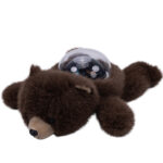 Плюшено мече с проектор за спокоен сън