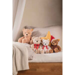 Jimmy Teddy bear – Happy Birthday - Image 3