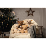 Ben Teddy bear - Image 5