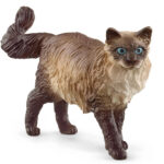 Фигурка Коте Рагдол, Schleich - Image 5