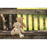 Mila Teddy bear - Image 6