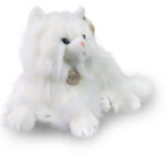 Плюшена Персийска котка Rappa - Image 2