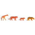 Комплект фигурки в кутия Диви животни, 30 броя - Image 5