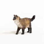 Фигурка Коте Рагдол, Schleich - Image 6